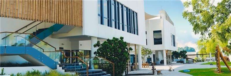The Scholars School